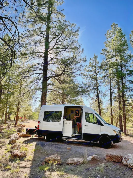 White RV rental camper van parked in a sunny pine forest. A person is inside the open door, enjoying the van life.. Mercedes-Benz Sprinter RV Motorhome Campervan 2016
