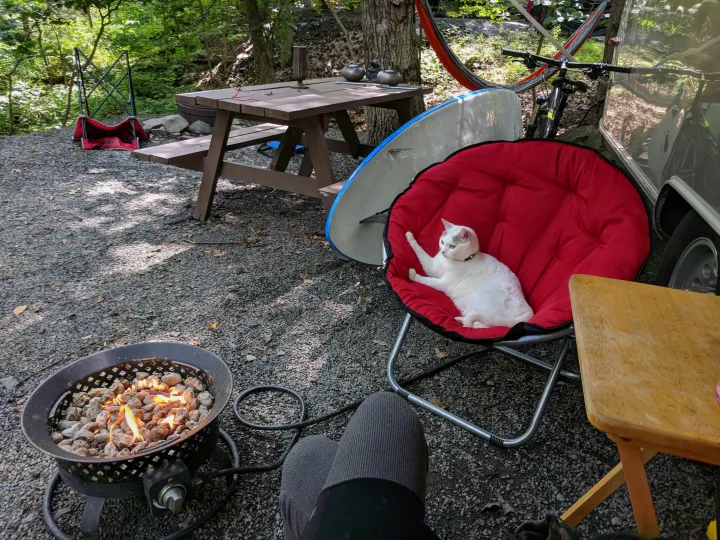 Relaxing at an RV rental campsite. A white cat lounges in a red chair by a fire pit, next to a picnic table on gravel.. Airstream International 2015