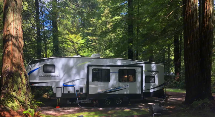 This RV rental is nestled in a shaded forest campsite, showcasing a spacious travel trailer among tall trees and natural greenery.. Forest River Cherokee Arctic Wolf 2020