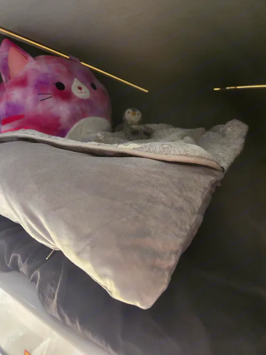 Cozy RV rental interior: pink Squishmallow, plush pillows, and a small penguin. Ready for a comfortable journey.. Winnebago Solis 2023