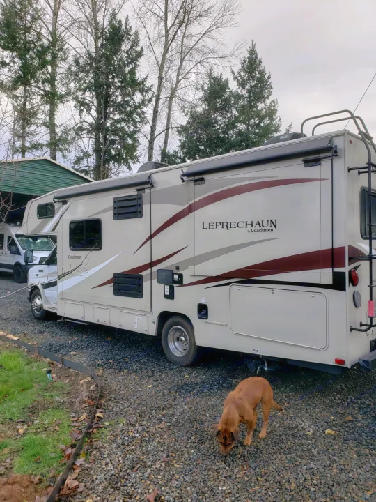 Tan Coachmen Leprechaun RV rental parked on gravel. A brown dog sniffs nearby, ready for adventure.. Coachman Leprechaun 2017
