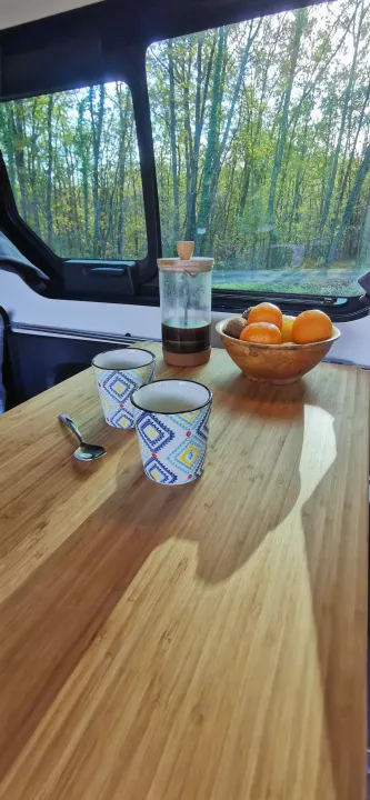 An RV rental setup: French press coffee, patterned cups, and fruit bowl on a wood table, with a lush forest view.. Renault Trafic 2023