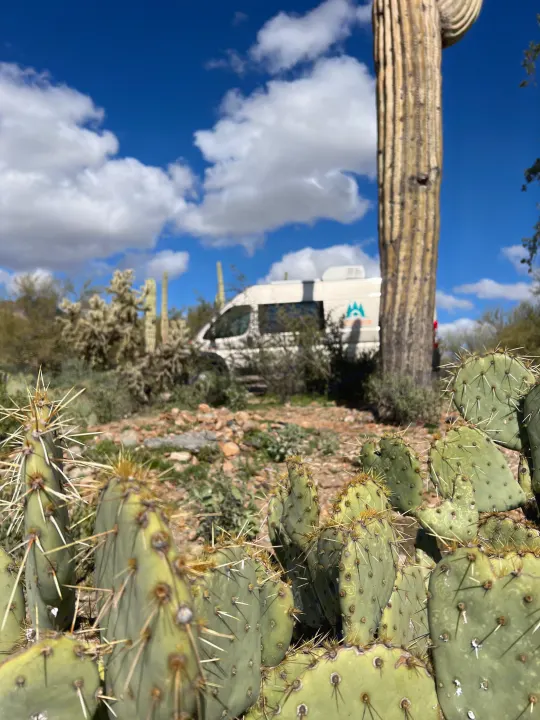 A white RV rental van parked among sharp prickly pear cacti and a towering saguaro under a bright desert sky.. Dodge Promaster- Summit X Edition OA9 2021