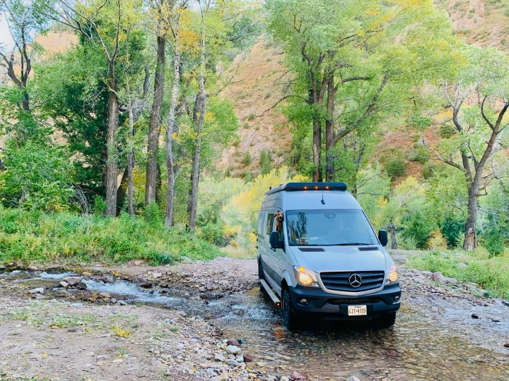 Say hello to Yoshi on a trip to Colorado.. Winnebago Revel 2019