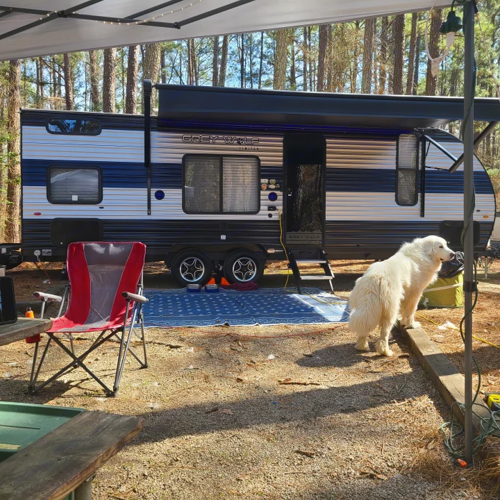 Grey Wolf rv rental travel trailer with extended awning at a shaded pine forest campsite. A white dog, red chair, and blue mat are visible.. Forest River Cherokee Grey Wolf Special Edition 2022