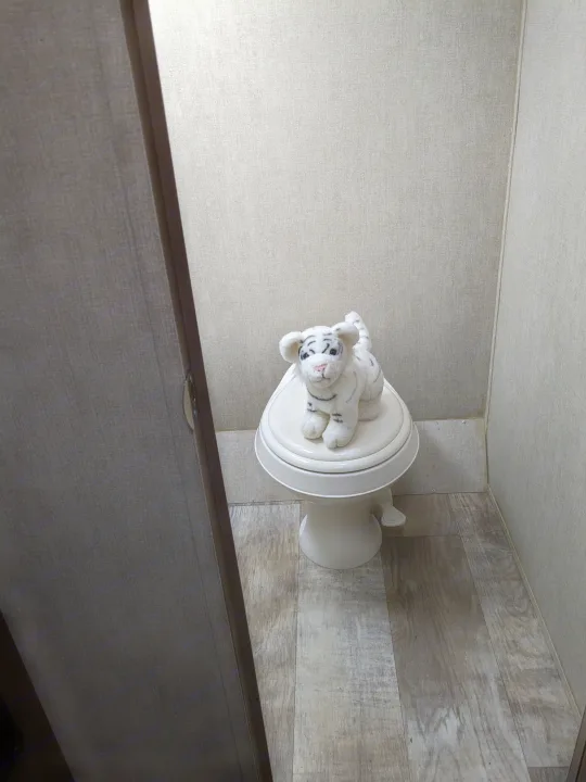 Compact RV rental bathroom with a white tiger plush toy on the toilet. Ideal for travelers exploring in a camper.. Gulf Stream Capri 2019