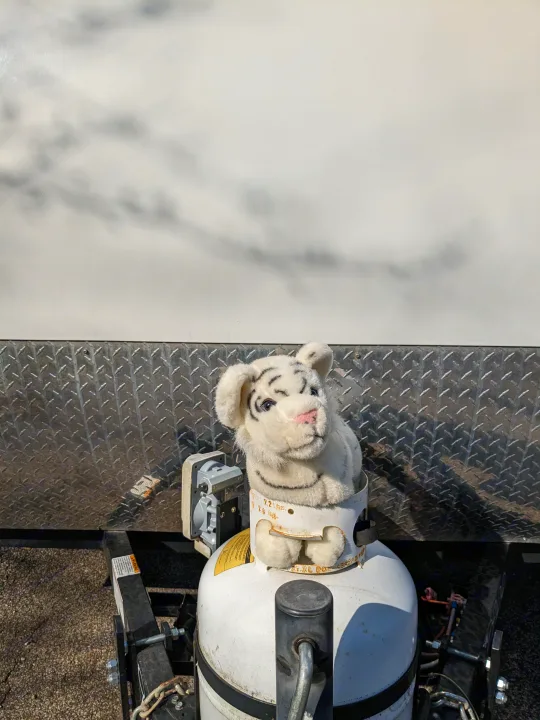 A cute white tiger plush toy peeks from an RV propane tank, ready for an RV rental adventure.. Gulf Stream Capri 2019