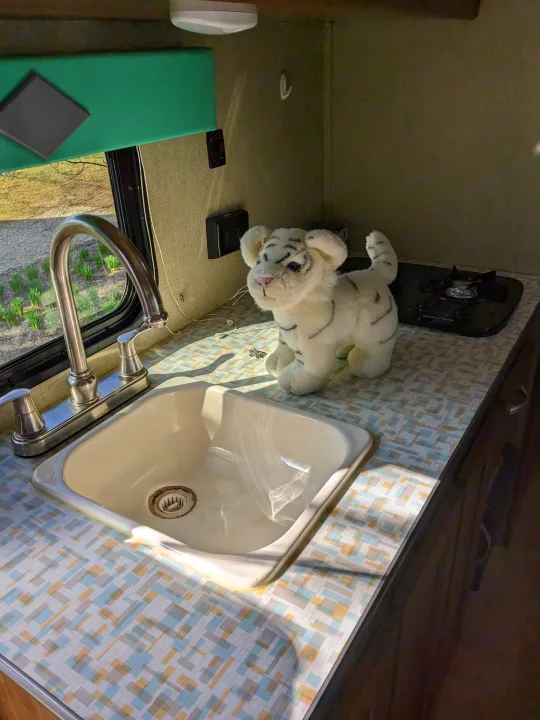 RV rental kitchen: Sunlit counter with sink, faucet, small stove, and a white tiger plush toy. Ideal camper amenities.. Gulf Stream Capri 2019