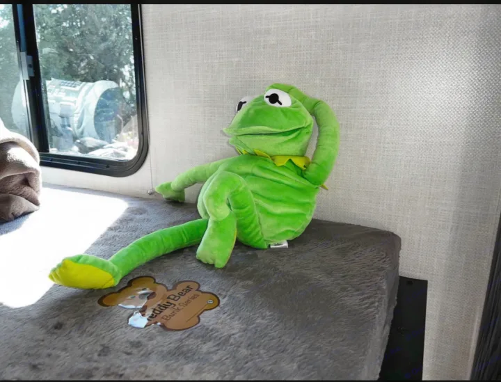 Kermit the Frog plush on a fuzzy bunk bed in an RV rental. Cozy interior with a window view, great for travel.. Forest River R POD 193  H.R. EDITION 2022