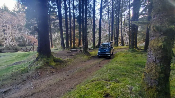 A green camper van rests on a dirt forest path, surrounded by tall, moss-covered trees. An RV rental perfect for remote adventures.. MITSUBISHI Delica 1997