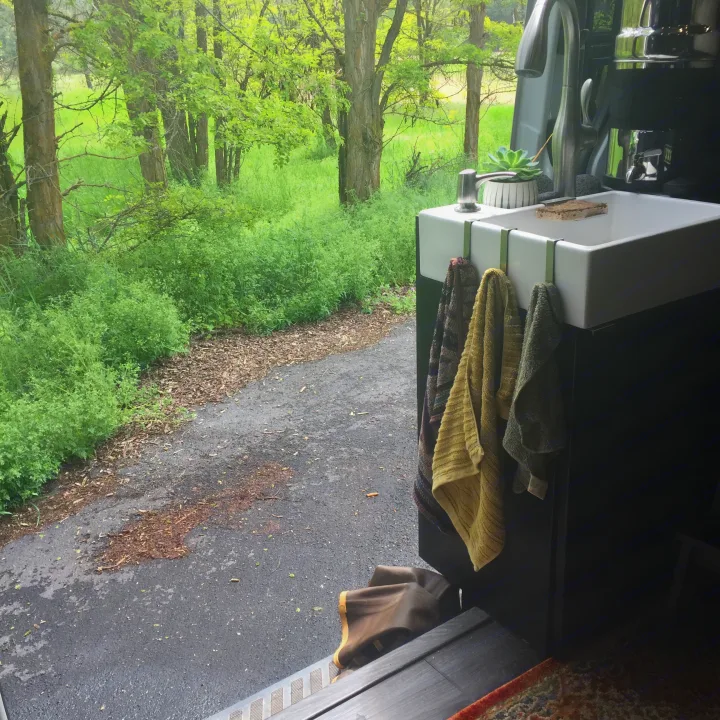 RV rental interior with sink, towels, and potted plant, offering a lush green outdoor view of trees and a path.. Freightliner Sprinter 2016