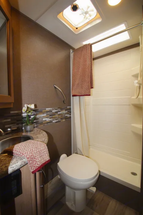 Compact RV rental bathroom: shower, toilet, vanity with sink, and patterned wall accent, ensuring comfort on the road.. Thor Motor Coach Freedom Elite 2018