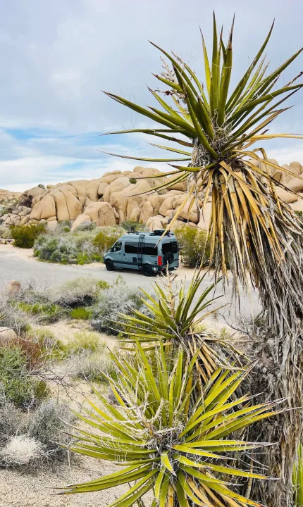 RV rental parked in a vast desert landscape featuring large rock formations and prominent yucca plants under a cloudy sky.. Synergy Mercedes-Benz Sprinter 2022
