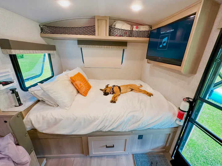 Cozy RV rental interior with a sleeping dog on a compact bed, featuring a TV, window, and overhead storage for comfortable travel.. Forest River Flagstaff E-Pro 2023