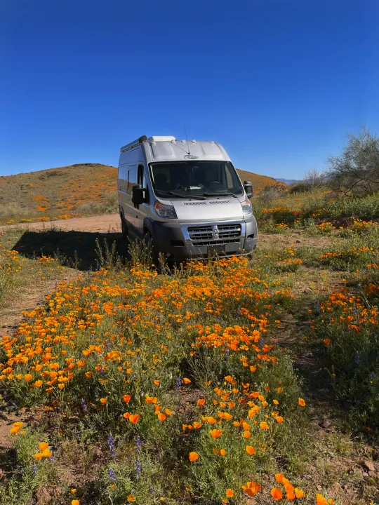 RV rental parked among vibrant orange poppies and wildflowers in a sunny desert landscape during a superbloom.. Carado Carado Class B 2018