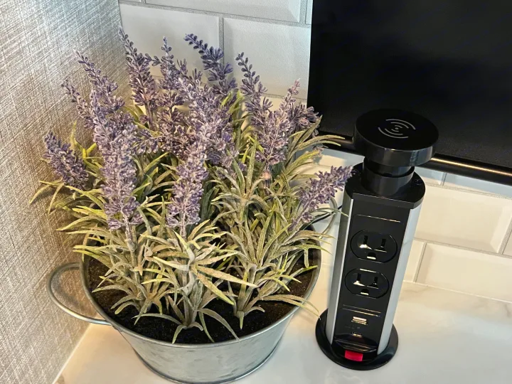 Modern RV rental amenity: pop-up power outlet with wireless charging, next to a charming lavender plant.. Jayco 21MML 2023