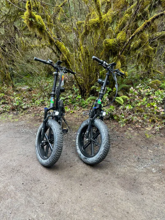 Two fat-tire e-bikes on a mossy forest path, ready for adventure on your next RV rental trip.. Fleetwood Pace Arrow 1997