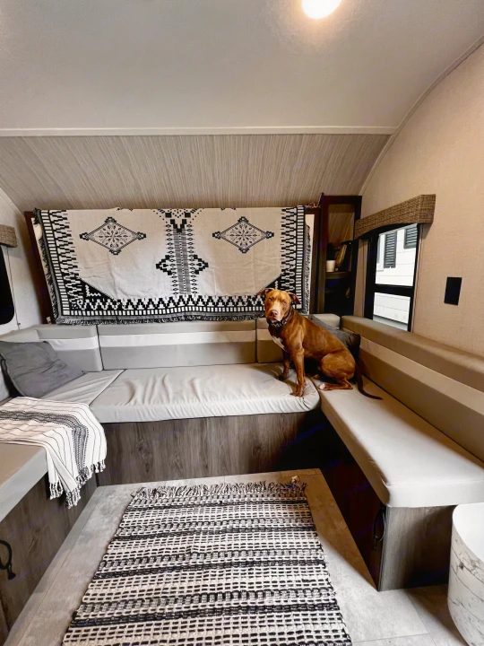 Spacious, pet-friendly RV rental living area with a brown dog on light upholstery, black & white decor.. Independence Trail 188DBK 2022