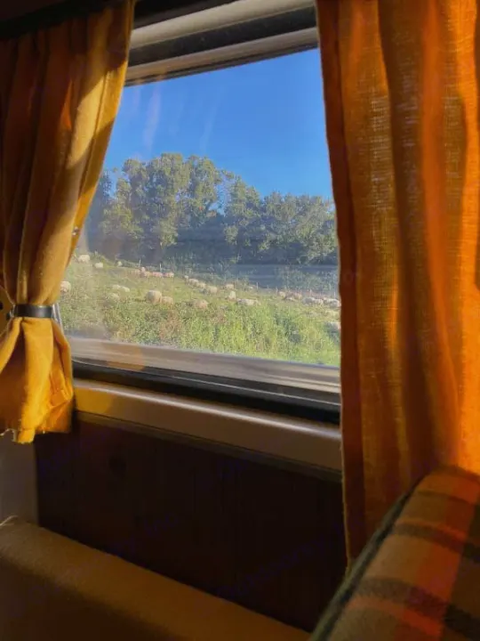 From an RV rental, golden curtains frame a window view of a bright blue sky over a green hill with many white sheep.. Volkswagen T2 Westfalia 1976