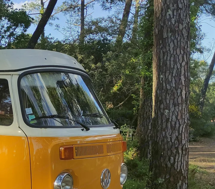 Vintage yellow VW Bus, likely an RV rental, parked among tall trees.. Volkswagen T2 Westfalia 1979