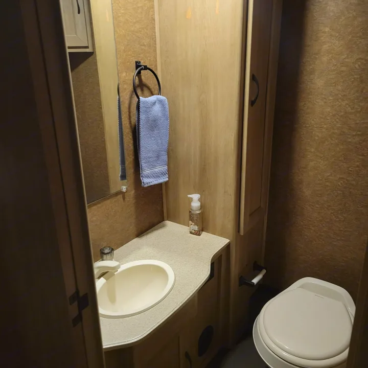 Compact RV rental bathroom featuring a sink, mirror, and toilet, with a hand towel and soap dispenser.. Forest River Coachmen Freelander 2016
