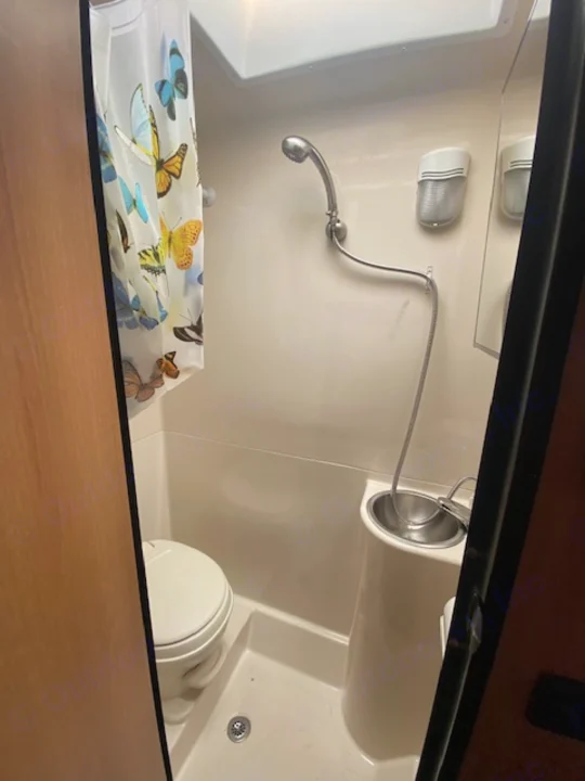 RV rental compact bathroom: shower, sink, toilet, and butterfly shower curtain. Essential for road trips.. Thor Majestic 2016