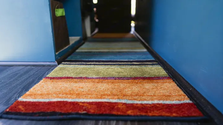 Vibrant, striped runner rug on dark flooring in an RV rental hallway, with bright blue walls.. Dodge Sprinter Van 2005