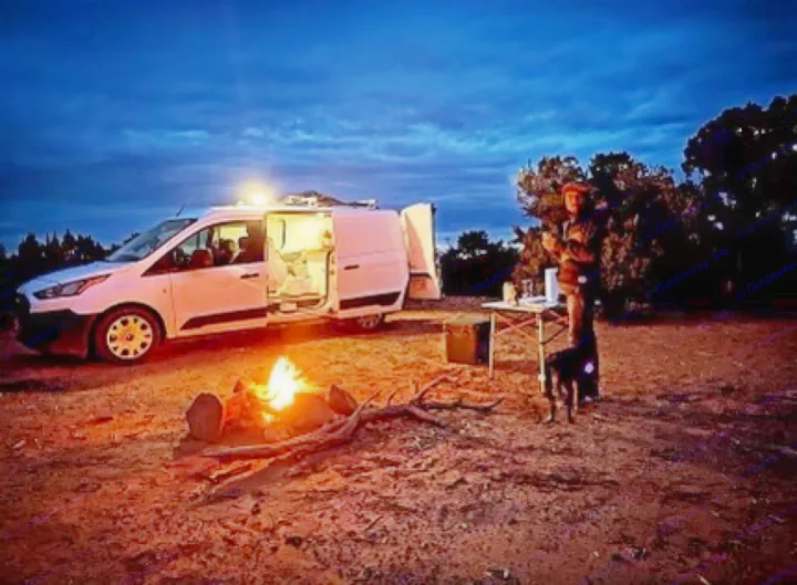 Ford Transit Connect 2020