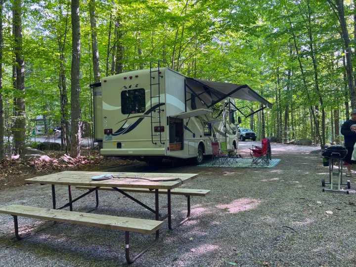 Peaceful rv rental campsite with a beige RV, extended awning, picnic table, and chairs, surrounded by tall trees.. Thor Motor Coach A.C.E 2017