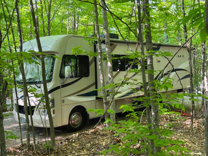 This spacious RV rental, a motorhome, is parked at a serene campsite nestled among vibrant green forest trees.. Thor Motor Coach A.C.E 2017