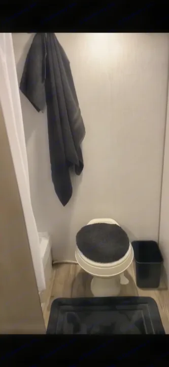 Inside an RV rental: Compact bathroom with a white toilet, black fuzzy seat cover, hanging towel, and shower area.. Coleman Lantern 17B 2023