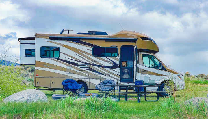 A Tiffin Wayfarer motorhome RV rental parked in a grassy field. Two dogs peer from the door, with outdoor chairs & picnic table.. Wayfarer Wayfarer Motorhome 2017