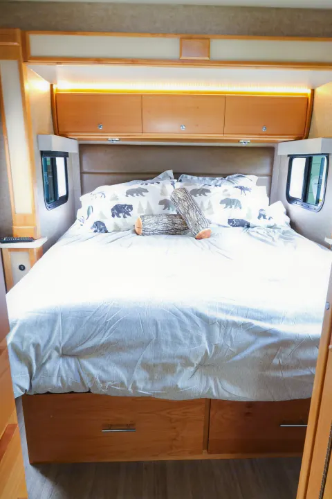This RV rental bedroom offers a comfortable bed with bear-themed pillows, overhead cabinets, and ambient lighting.. Wayfarer Wayfarer Motorhome 2017