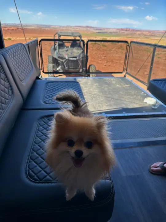 A fluffy Pomeranian pup smiles in an RV rental, overlooking a desert landscape with an ATV outside.. Heartland Lithium 2515S 2022