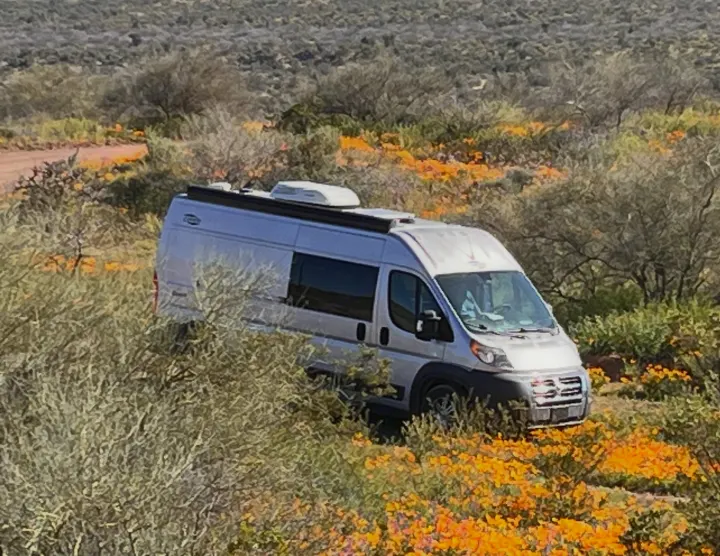 Silver camper van rv rental surrounded by vibrant orange wildflowers in a sunny desert landscape.. Carado Carado Class B 2018