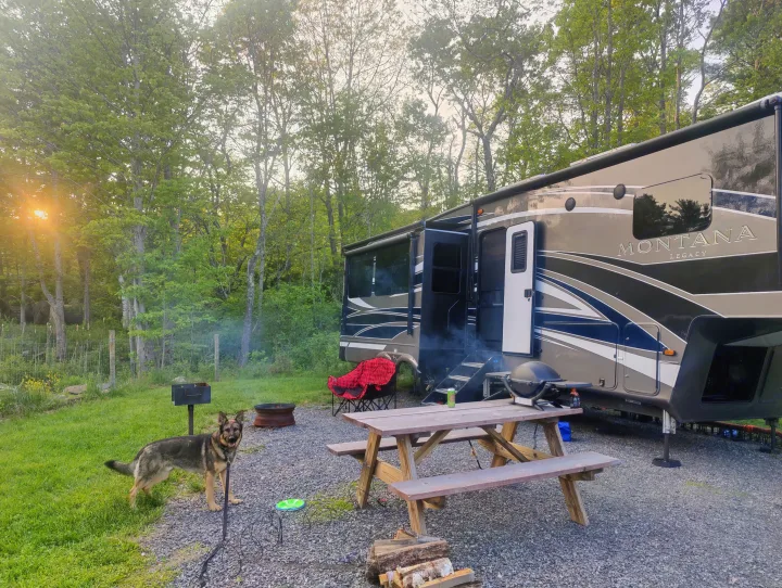 RV rental experience: a German Shepherd, Montana Legacy RV, picnic table, and grill at a wooded campsite.. Keystone RV Montana Legacy Edition 2022