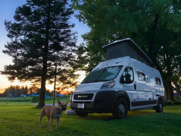 A white pop-top RV rental and a tan dog stand on green grass at sunset, surrounded by tall trees. Perfect for camping!. Winnebago Solis 2021