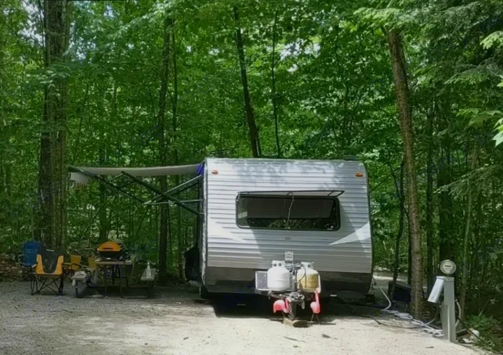 RV rental parked in a lush green campsite with an awning extended, outdoor seating, grill, and utility hookups.. Dutchmen Coleman Lantern LT 2017