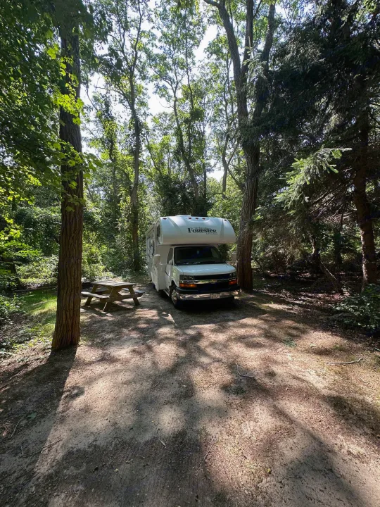RV rental parked at a serene wooded campsite, ready for adventure. A picnic table awaits in the dappled sunlight.. Forest River Chevy Express 2014