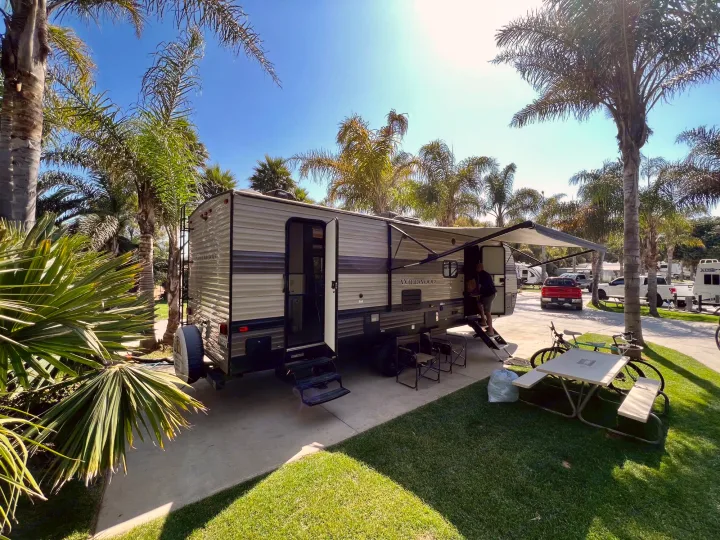 RV rental parked among palm trees at a sunny campground, ready for outdoor adventure.. Forest River Wildwood 2020