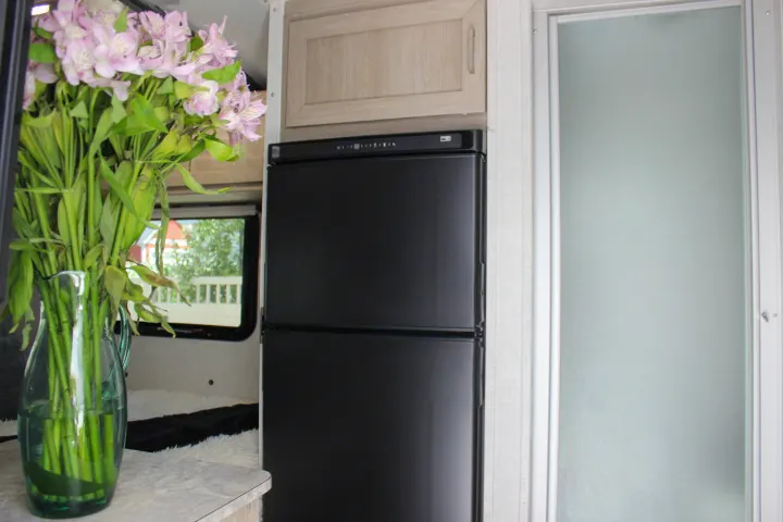 RV rental interior: A vase of pink flowers on a counter, a compact black refrigerator, and a frosted glass door for a cozy travel space.. Forest River Rockwood Geo Pro 2022