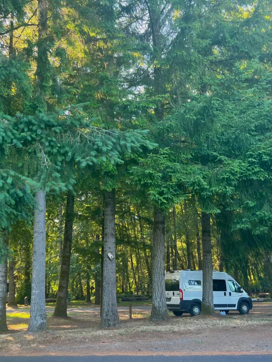 White camper van, likely an RV rental, parked amidst a dense evergreen forest. Sunlight filters through the tall trees at a scenic campsite.. Dodge Ram 1500 2019