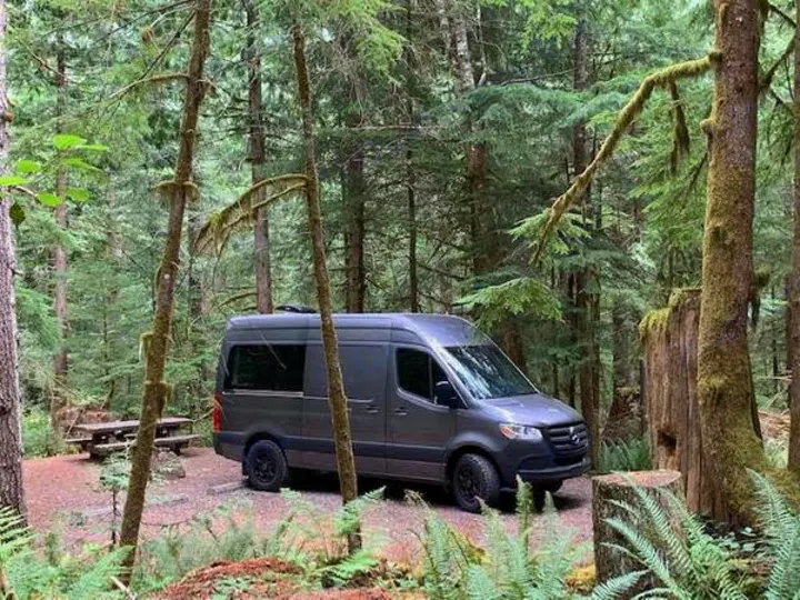 Grey camper van in a lush, mossy forest campsite with a picnic table. Perfect RV rental for nature adventures.. Mercedes-Benz Sprinter 2021