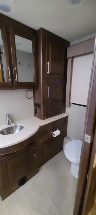 Compact and functional RV rental bathroom, featuring a sink, toilet, mirrored cabinet, and dark wood storage.. Entegra Coach Vision XL 2020