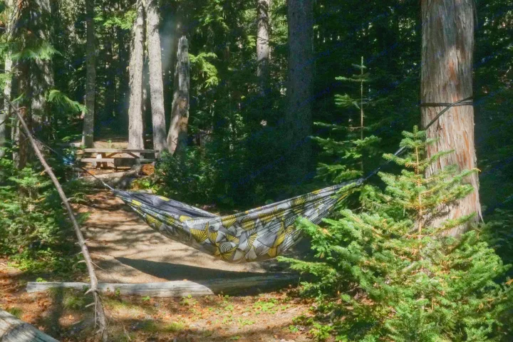 A vibrant hammock is strung between trees at a forest campsite with a picnic table, great for RV rental trips.. Subaru Outback with iKamper 2017