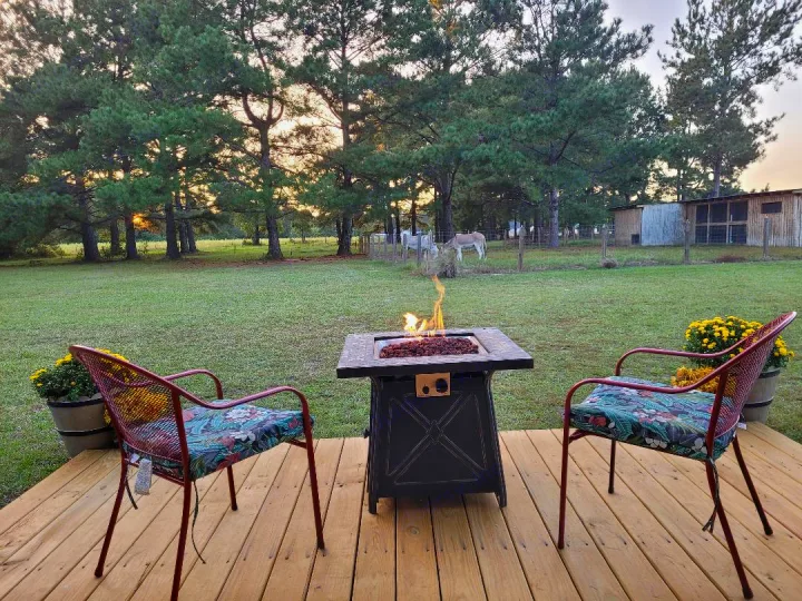 Sunset views from a cozy deck with fire pit, chairs, donkeys, and pines. Your RV rental awaits this serene escape!. Dutchmen Coleman 2019