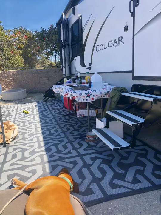 Sunny day camping setup with a Cougar RV rental. A dog rests on the mat, and a table is ready for outdoor dining.. Keystone RV Cougar 2021