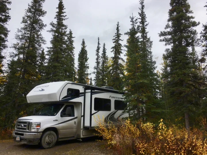 White Forester RV rental parked among towering evergreen trees and vibrant yellow foliage under an overcast sky, ready for adventure.. Forester LE 2022