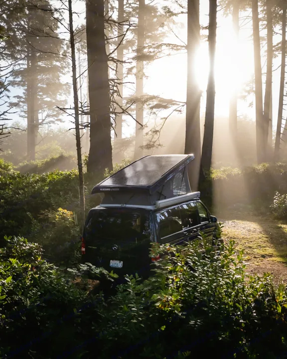 Sun rays pierce misty forest, illuminating an RV rental camper van with its pop-top extended, parked on a dirt path.. Mercedes-Benz metris 2022