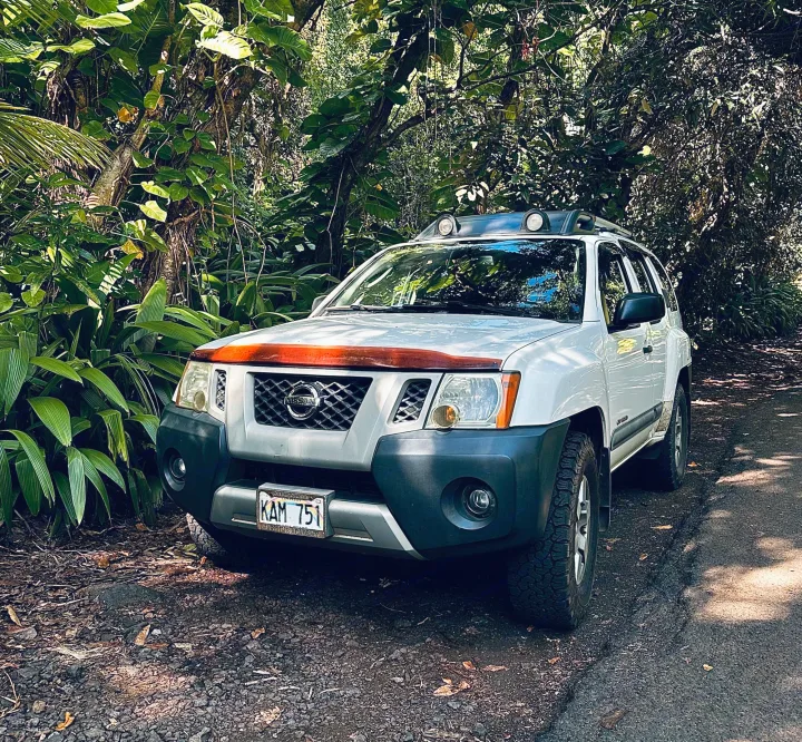 Nissan xterra 2010